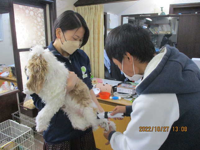 名誉学院長の散髪