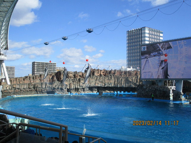 卒業旅行to名古屋港水族館