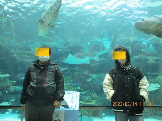 卒業旅行to名古屋港水族館