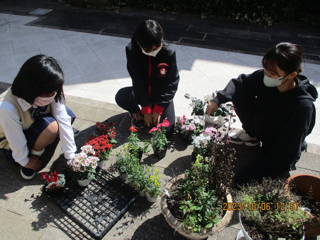 中庭は花盛り